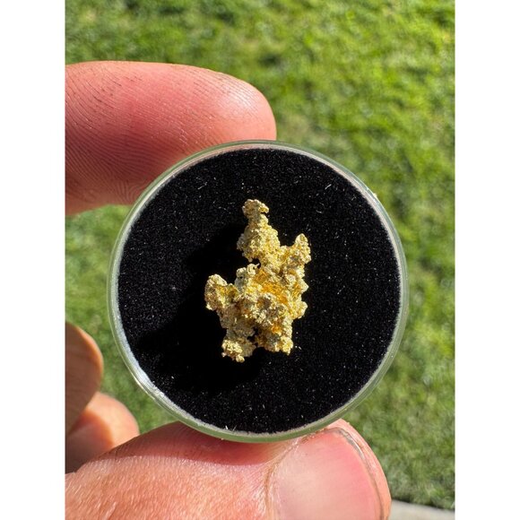 California Native Gold Crystal - 1.18 grams - Picture 2 of 5